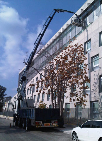 CRANE WORKS RENT: Φωτογραφίες & Βίντεο