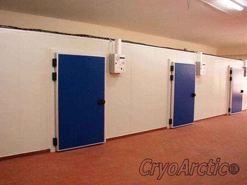 CRYOARCTIC: Φωτογραφίες & Βίντεο