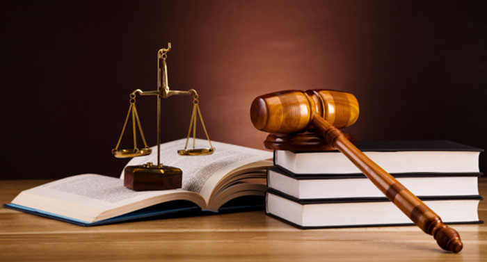 DALLA KONSTANTINA & ASSOCIATES: Φωτογραφίες & Βίντεο