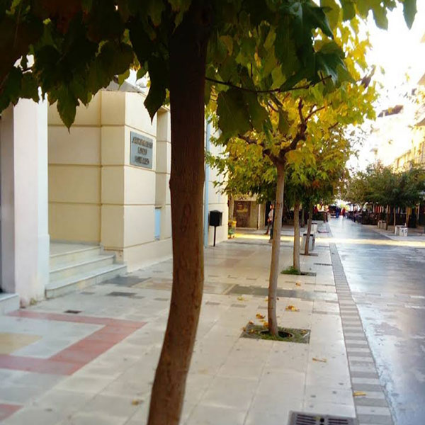 DAMIS PANAGIOTIS: Φωτογραφίες & Βίντεο