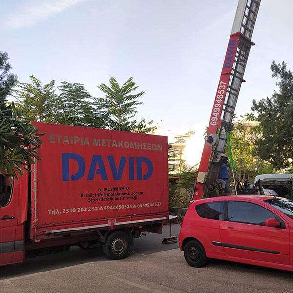 DAVID - DAVID ATHANASIOS: Φωτογραφίες & Βίντεο