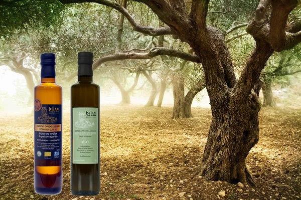 DELADI - ΜΑΜΑΡΕΛΗΣ ΔΗΜΗΤΡΙΟΣ: Φωτογραφίες & Βίντεο