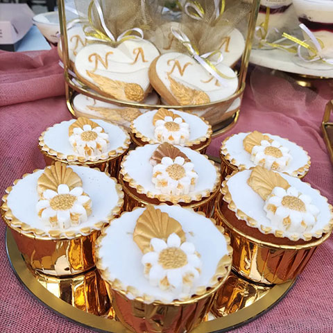 DELICE: Φωτογραφίες & Βίντεο