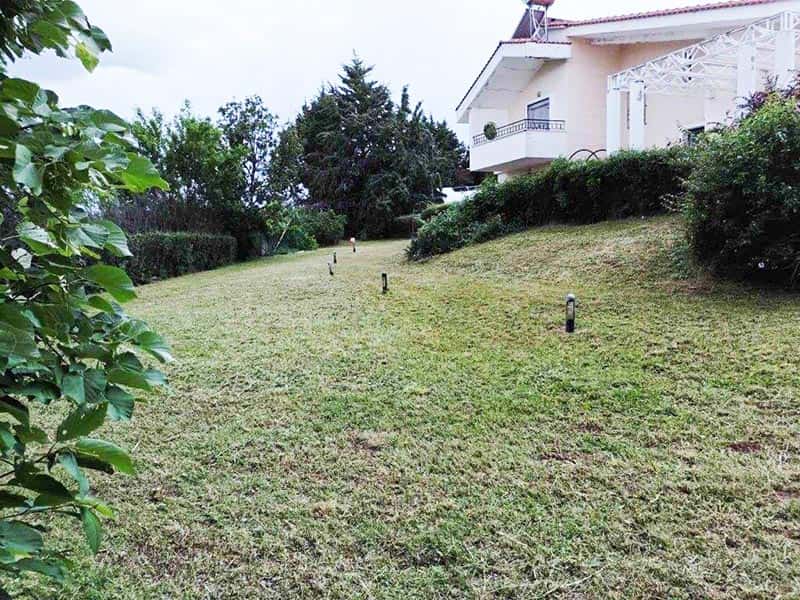 DELLIOS GARDEN EXPERTS: Φωτογραφίες & Βίντεο