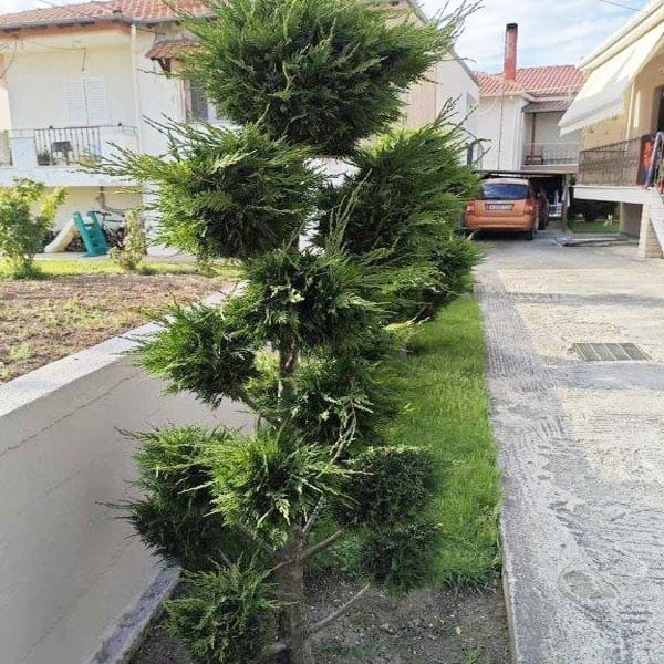 DELLIOS GARDEN EXPERTS: Φωτογραφίες & Βίντεο