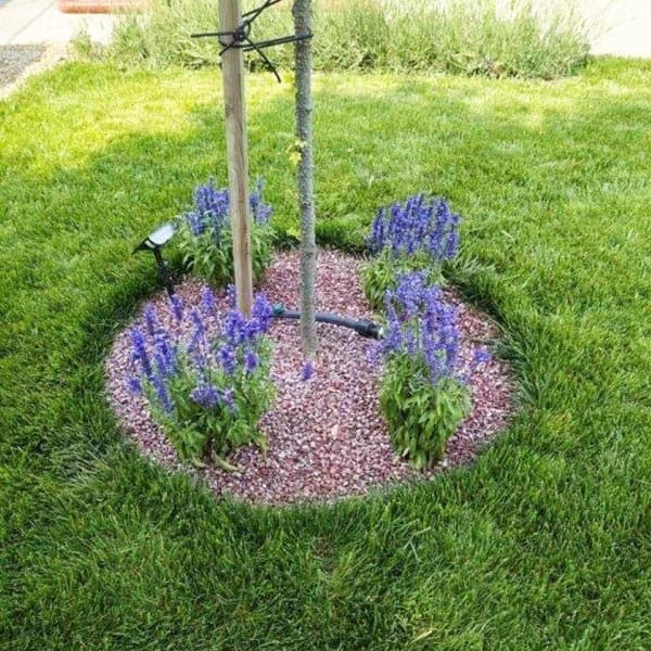 DELLIOS GARDEN EXPERTS: Φωτογραφίες & Βίντεο