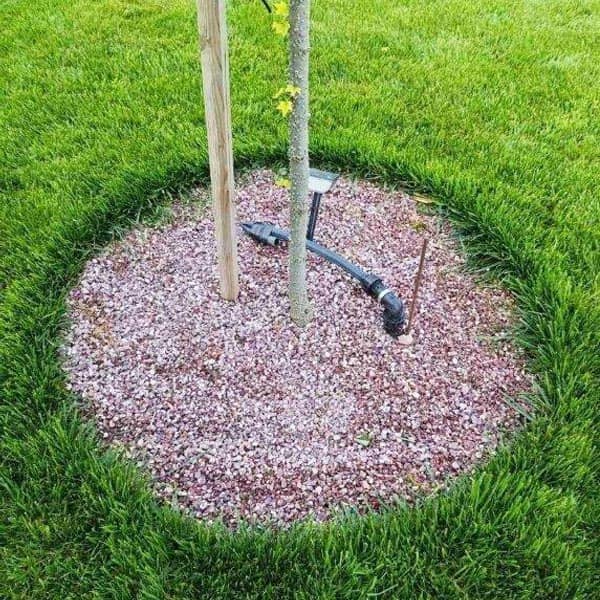 DELLIOS GARDEN EXPERTS: Φωτογραφίες & Βίντεο