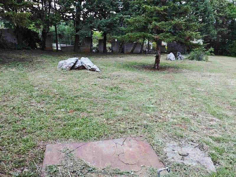 DELLIOS GARDEN EXPERTS: Φωτογραφίες & Βίντεο