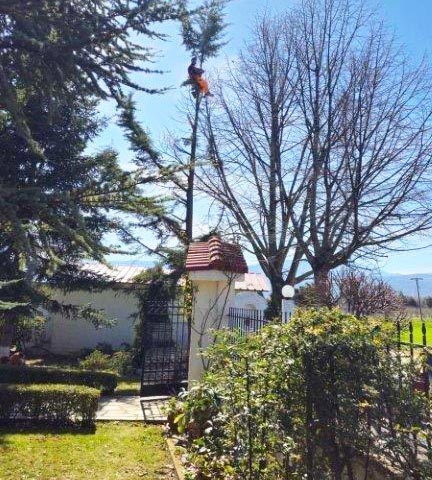 DELLIOS GARDEN EXPERTS: Φωτογραφίες & Βίντεο
