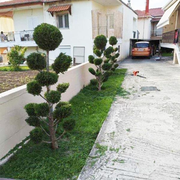 DELLIOS GARDEN EXPERTS: Φωτογραφίες & Βίντεο