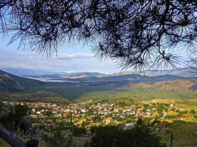 DELPHI LOCAL TOURS - MALISSOS GIORGOS: Φωτογραφίες & Βίντεο