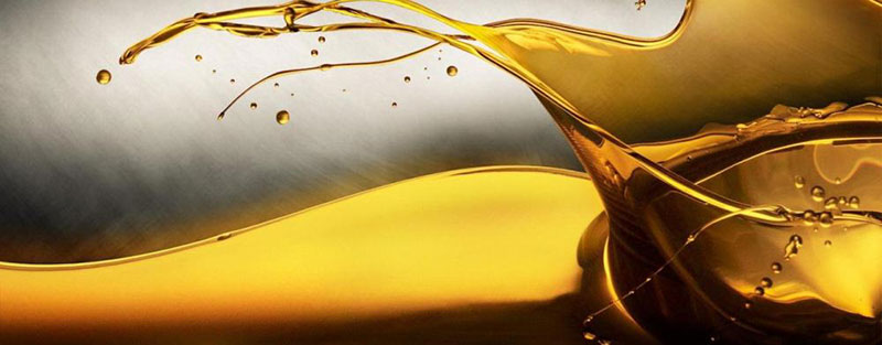 DELTA OIL HELLAS: Φωτογραφίες & Βίντεο