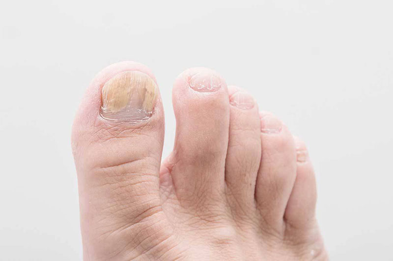 DIDASKALOU EFTHYMIA: Φωτογραφίες & Βίντεο