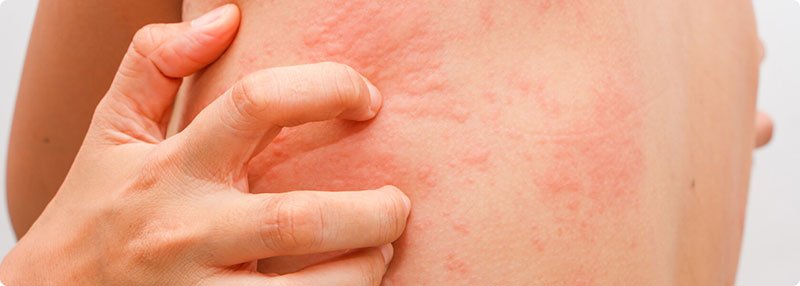 DIDASKALOU EFTHYMIA: Φωτογραφίες & Βίντεο