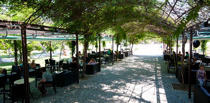ΔΗΜΟΚΡΙΤΟΣ HOTEL: Φωτογραφίες & Βίντεο