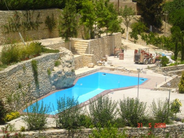 DOLPHIN POOL: Φωτογραφίες & Βίντεο