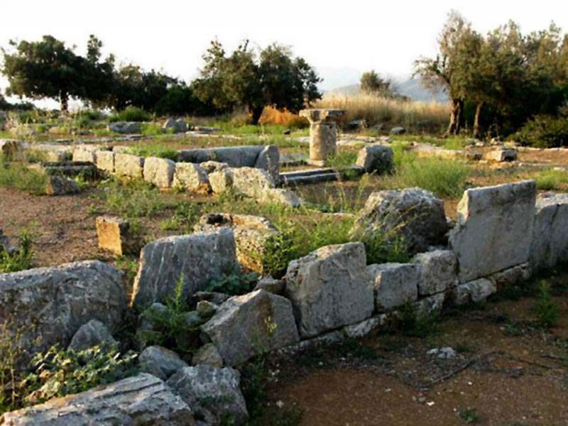 DRITSAS GIORGOS: Φωτογραφίες & Βίντεο