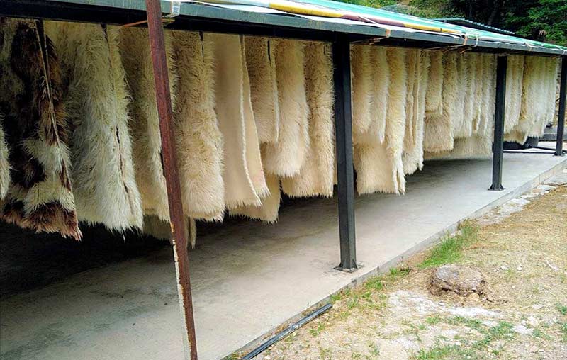 ΔΡΟΣΟΠΗΓΗ: Φωτογραφίες & Βίντεο