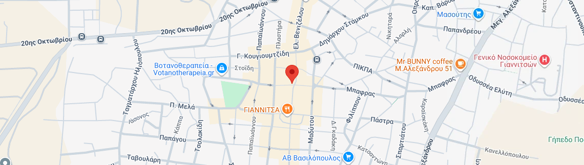 Λογότυπο DYSLEXIA CENTERS GIANNITSA