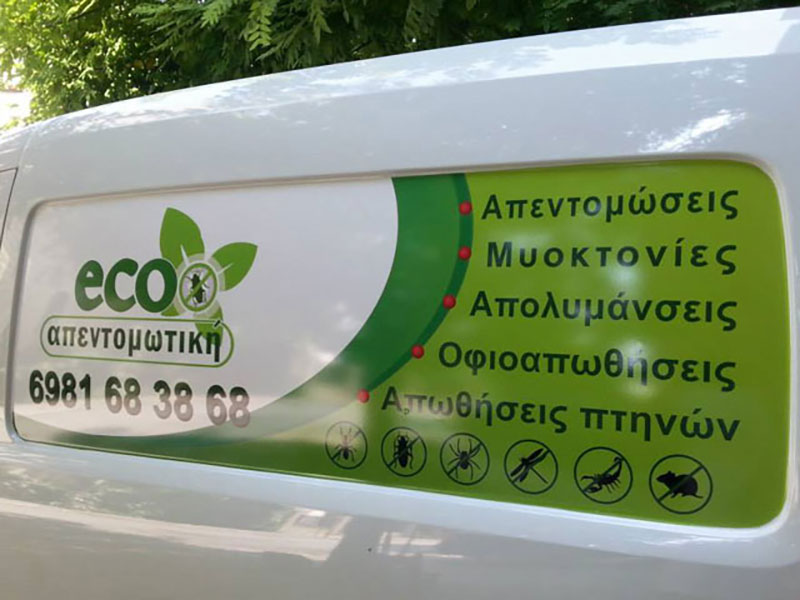 ECO APENTOMOTIKI: Φωτογραφίες & Βίντεο