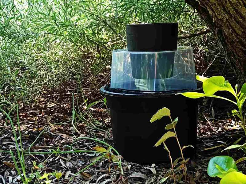 ECO APENTOMOTIKI: Φωτογραφίες & Βίντεο