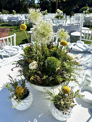 EDEN FLOWERS EVENTS: Φωτογραφίες & Βίντεο