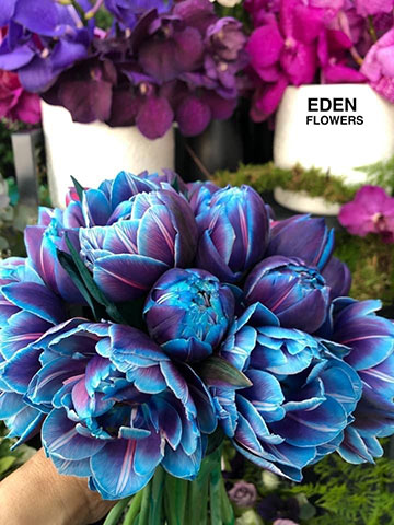 EDEN FLOWERS EVENTS: Φωτογραφίες & Βίντεο