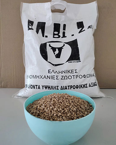 EFFORI GI: Φωτογραφίες & Βίντεο