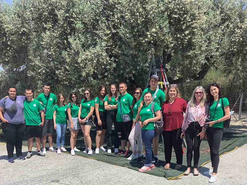 ELAIOURGEIO KONSTA: Φωτογραφίες & Βίντεο