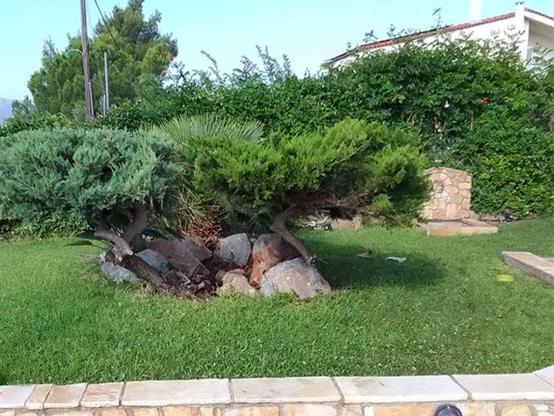 Καλλωπισμός κήπου
