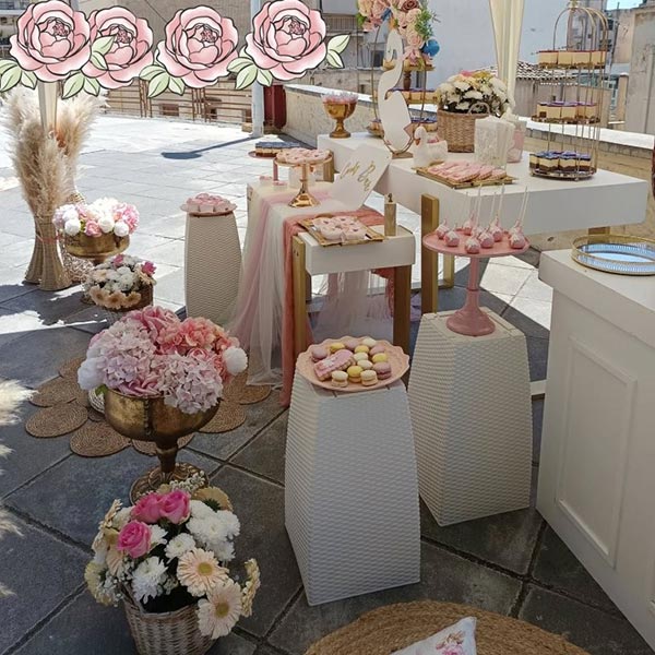 ELITE EVENT SERVICES: Φωτογραφίες & Βίντεο