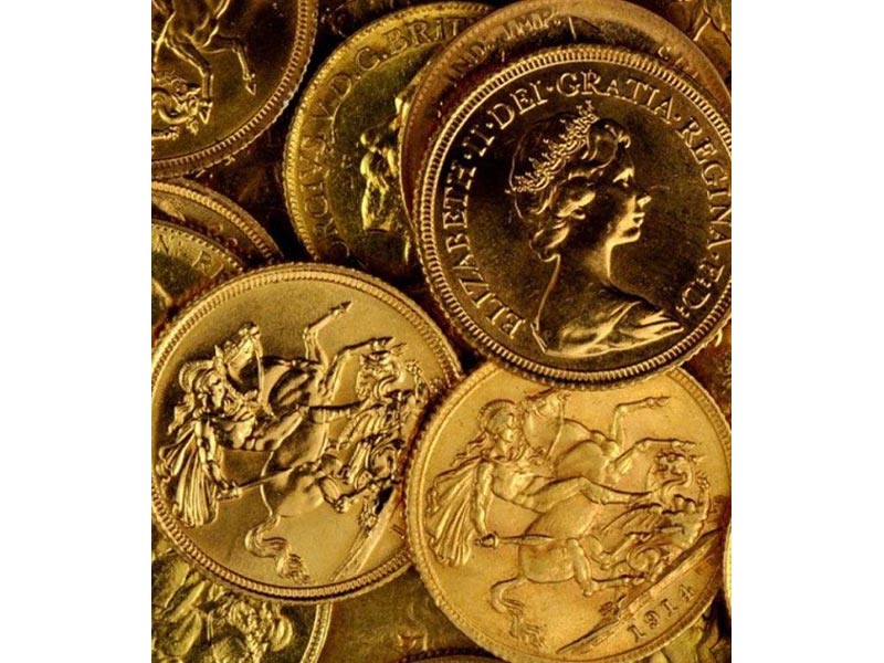 ELITE GOLD: Φωτογραφίες & Βίντεο