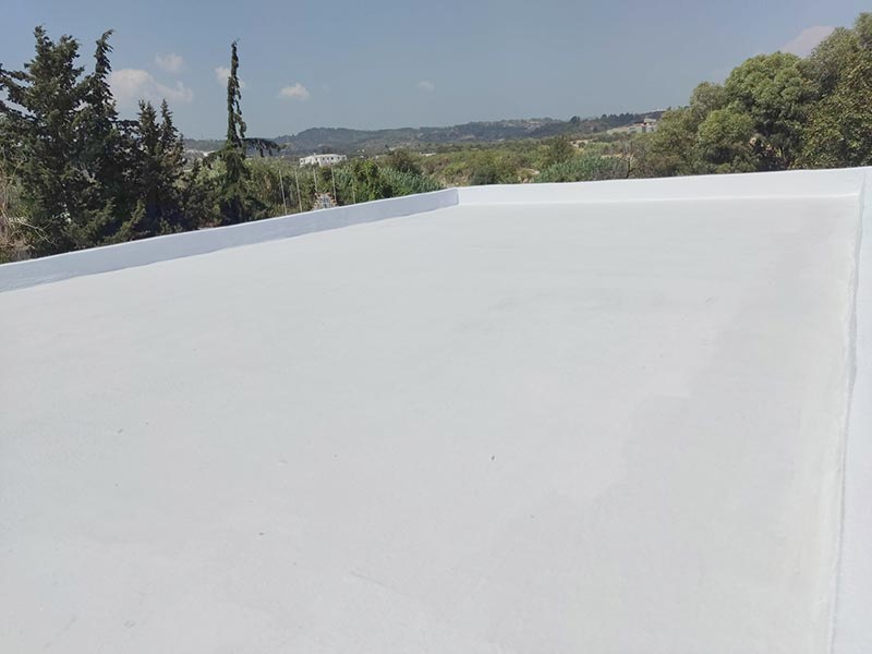 ELZAHAR AYMAN: Φωτογραφίες & Βίντεο