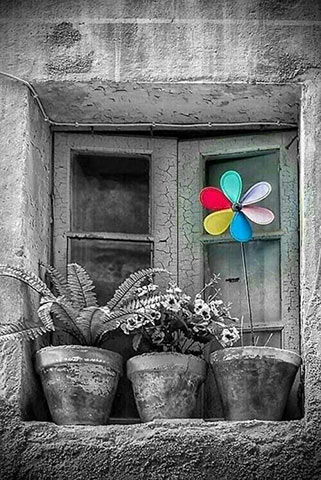 EMPATHIE LAB - PANA CHAMOUZA DIMITRA: Φωτογραφίες & Βίντεο