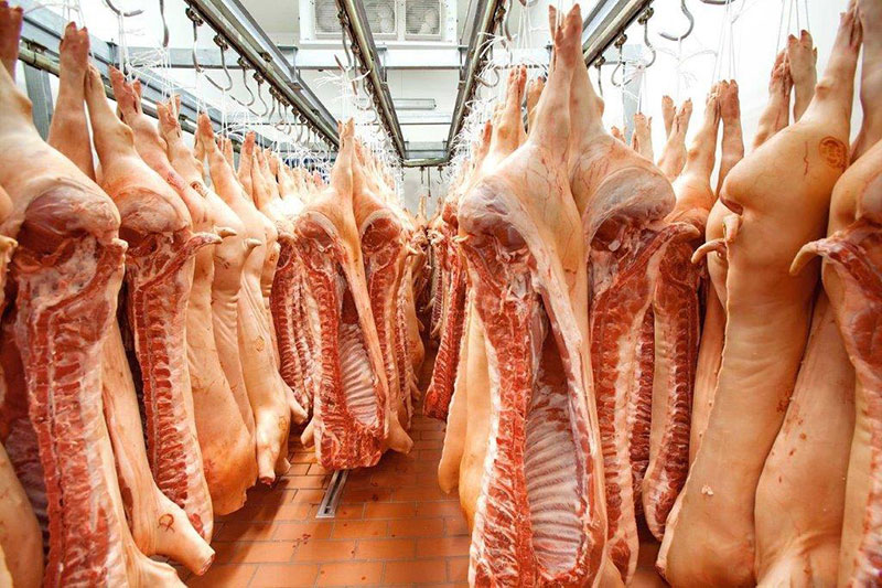 ENKA FOOD QUALITY MEAT: Φωτογραφίες & Βίντεο