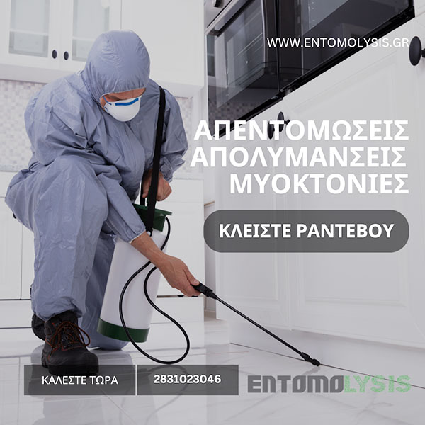 ENTOMOLYSIS: Φωτογραφίες & Βίντεο