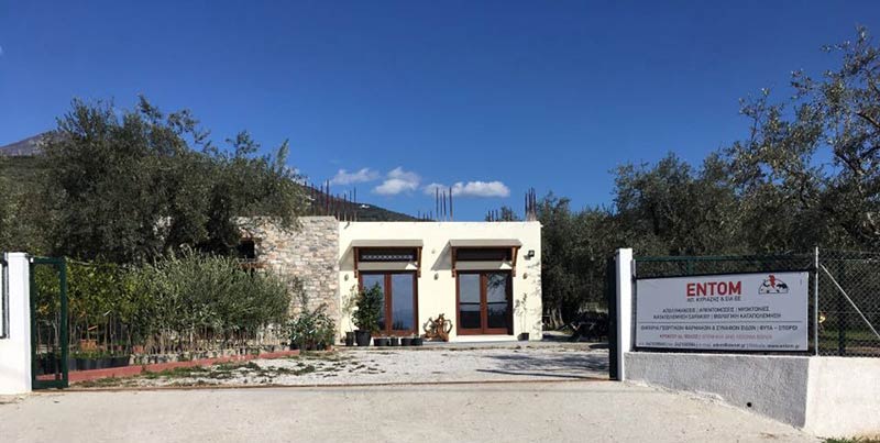 ΕΝΤΟΜ - ΚΥΡΙΑΖΗΣ ΑΠΟΣΤΟΛΟΣ & ΣΙΑ ΕΕ: Φωτογραφίες & Βίντεο