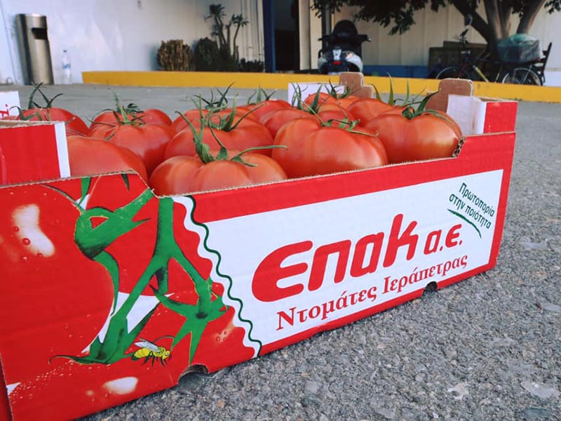 ΕΠΑΚ ΑΕ: Φωτογραφίες & Βίντεο
