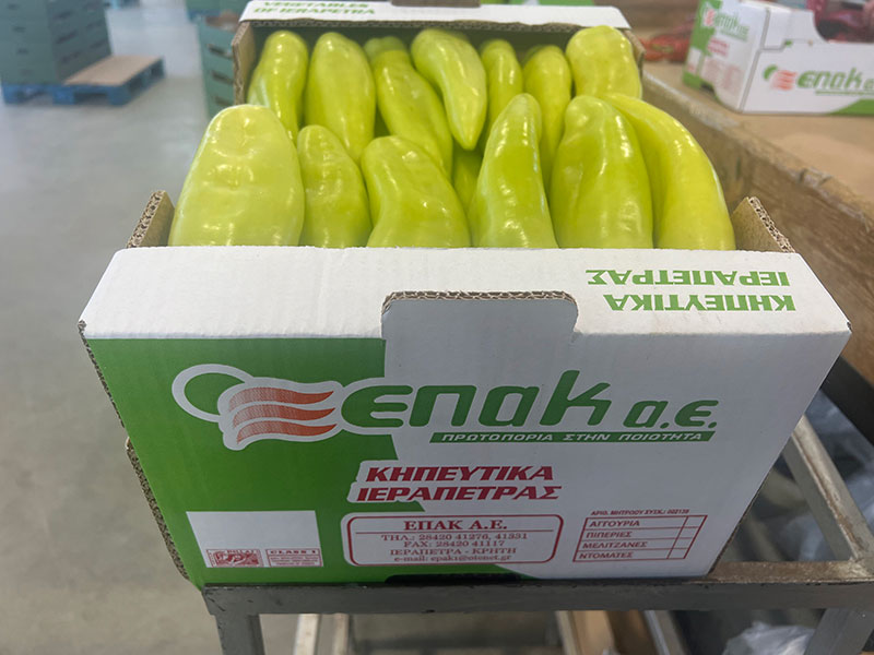 ΕΠΑΚ ΑΕ: Φωτογραφίες & Βίντεο