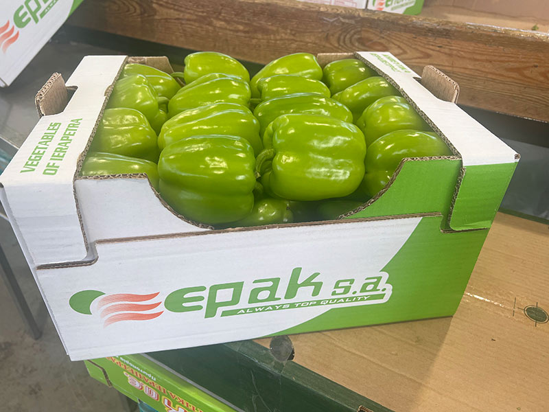 ΕΠΑΚ ΑΕ: Φωτογραφίες & Βίντεο