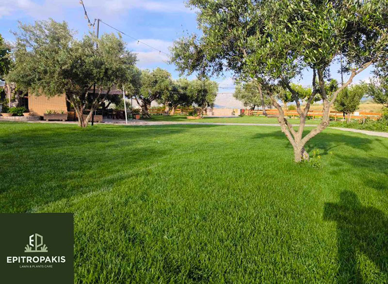 EPITROPAKIS LAWN & PLANTS CARE: Φωτογραφίες & Βίντεο