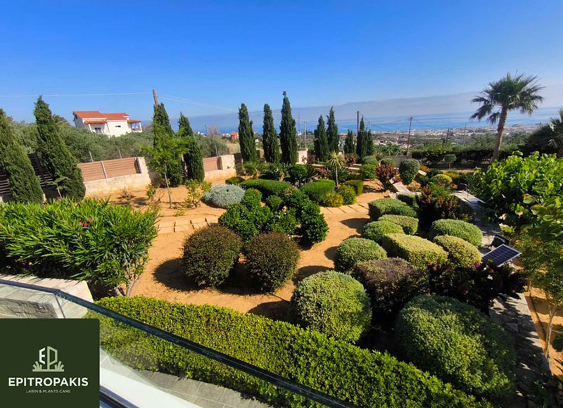 EPITROPAKIS LAWN & PLANTS CARE: Φωτογραφίες & Βίντεο