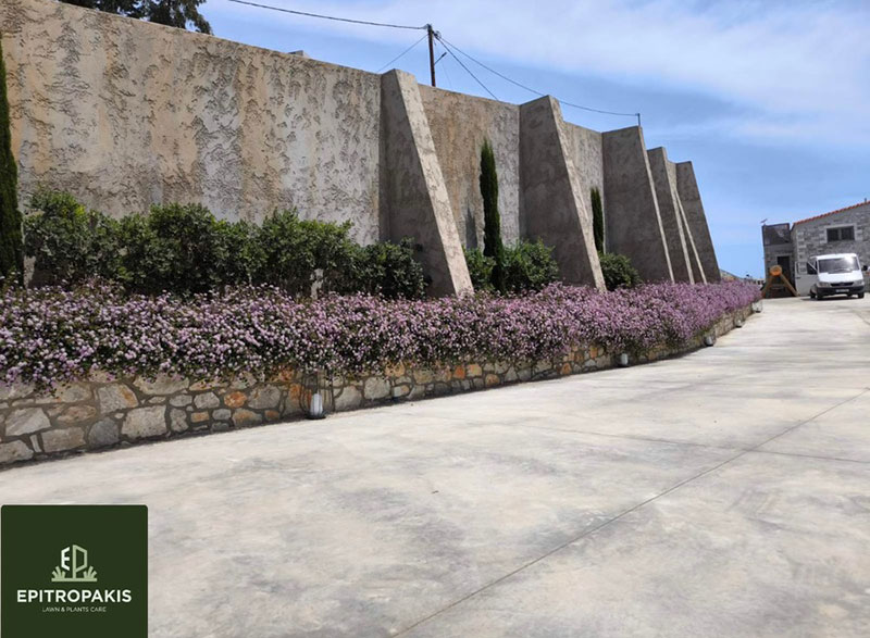 EPITROPAKIS LAWN & PLANTS CARE: Φωτογραφίες & Βίντεο