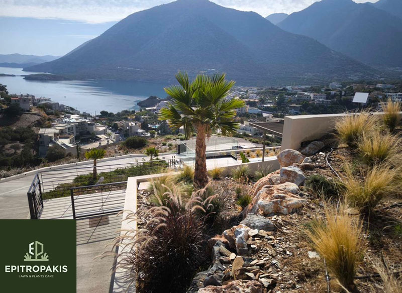 EPITROPAKIS LAWN & PLANTS CARE: Φωτογραφίες & Βίντεο