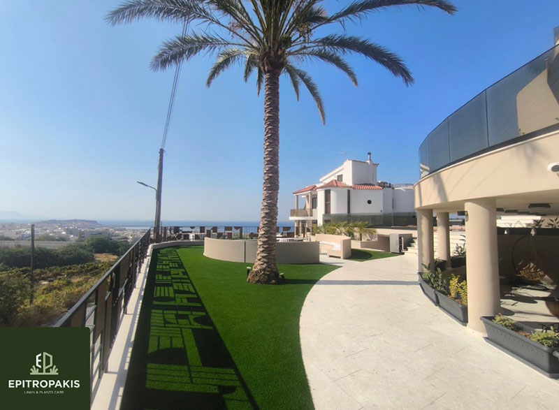 EPITROPAKIS LAWN & PLANTS CARE: Φωτογραφίες & Βίντεο