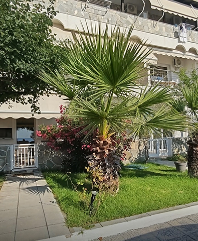 ERMIONI APARTMENTS: Φωτογραφίες & Βίντεο