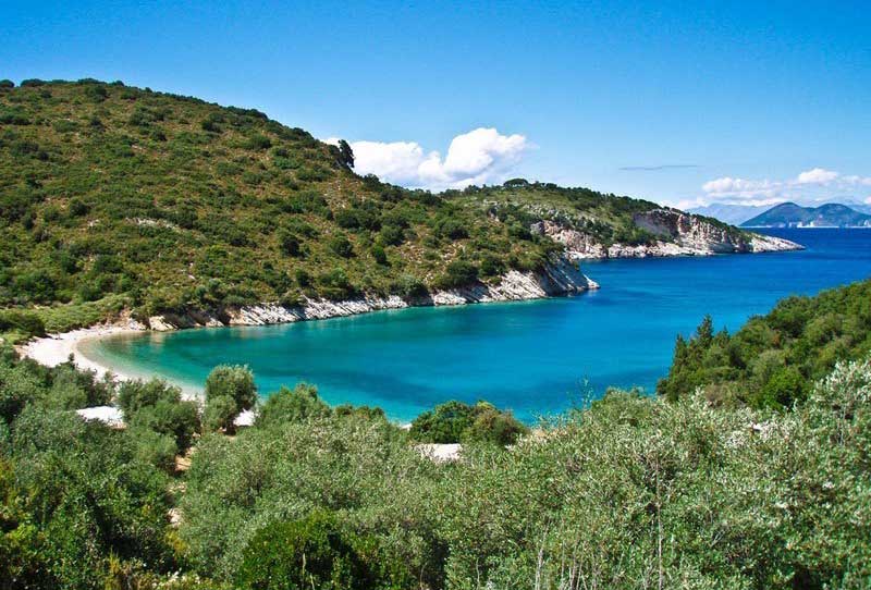 ETAM TRAVEL SERVICES: Φωτογραφίες & Βίντεο