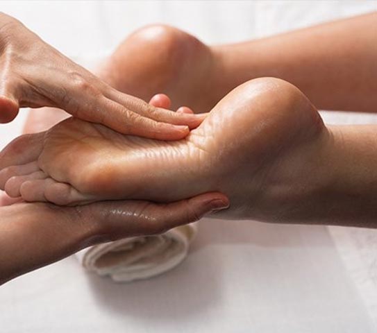EUPHORIA BODY & MIND: Φωτογραφίες & Βίντεο