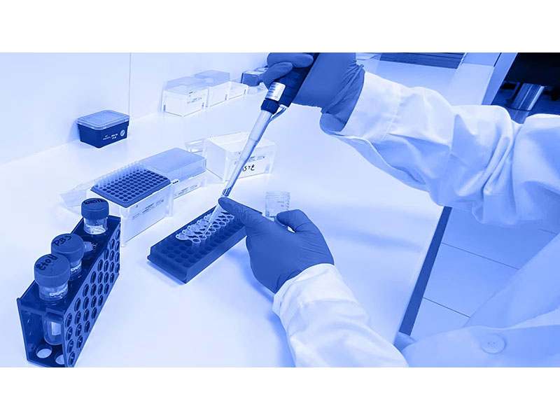 Idna test διατροφής