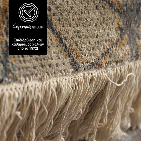 EVGENIKOS GROUP: Φωτογραφίες & Βίντεο
